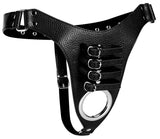 Male Chastity Harness