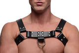 English Bull Dog Harness With Cock Strap