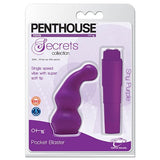 Penthouse Secrets Collection Pocket Blaster