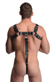 English Bull Dog Harness With Cock Strap