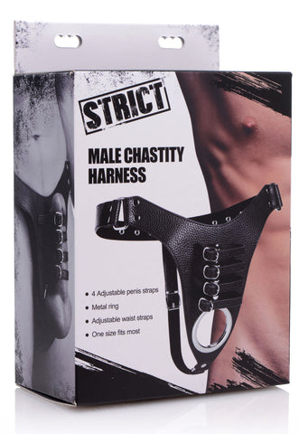 Male Chastity Harness